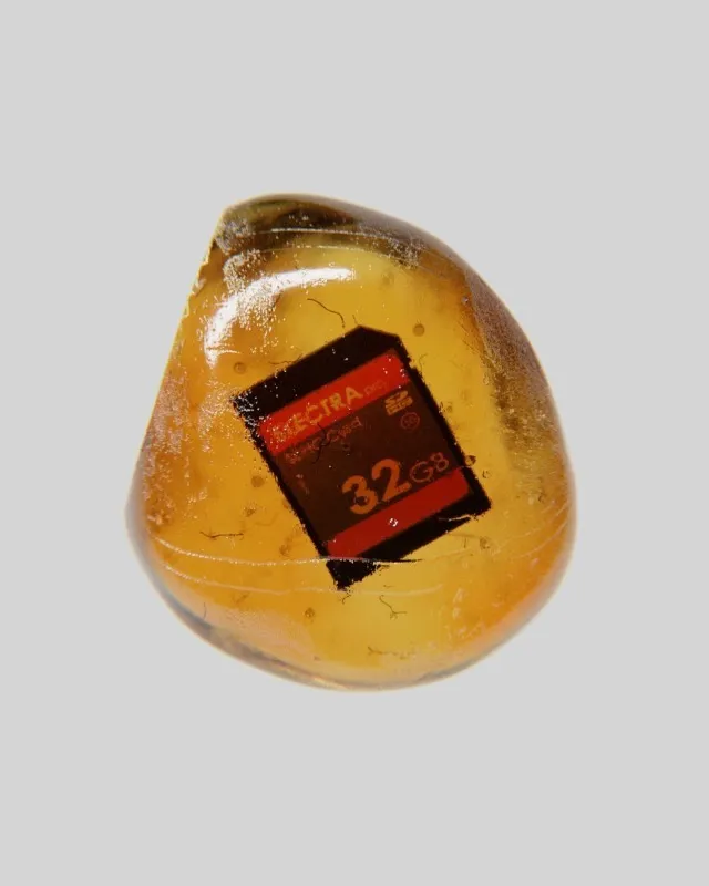 A 32GB SDHC card encased in an amber-like substance, like a fossilized insect.