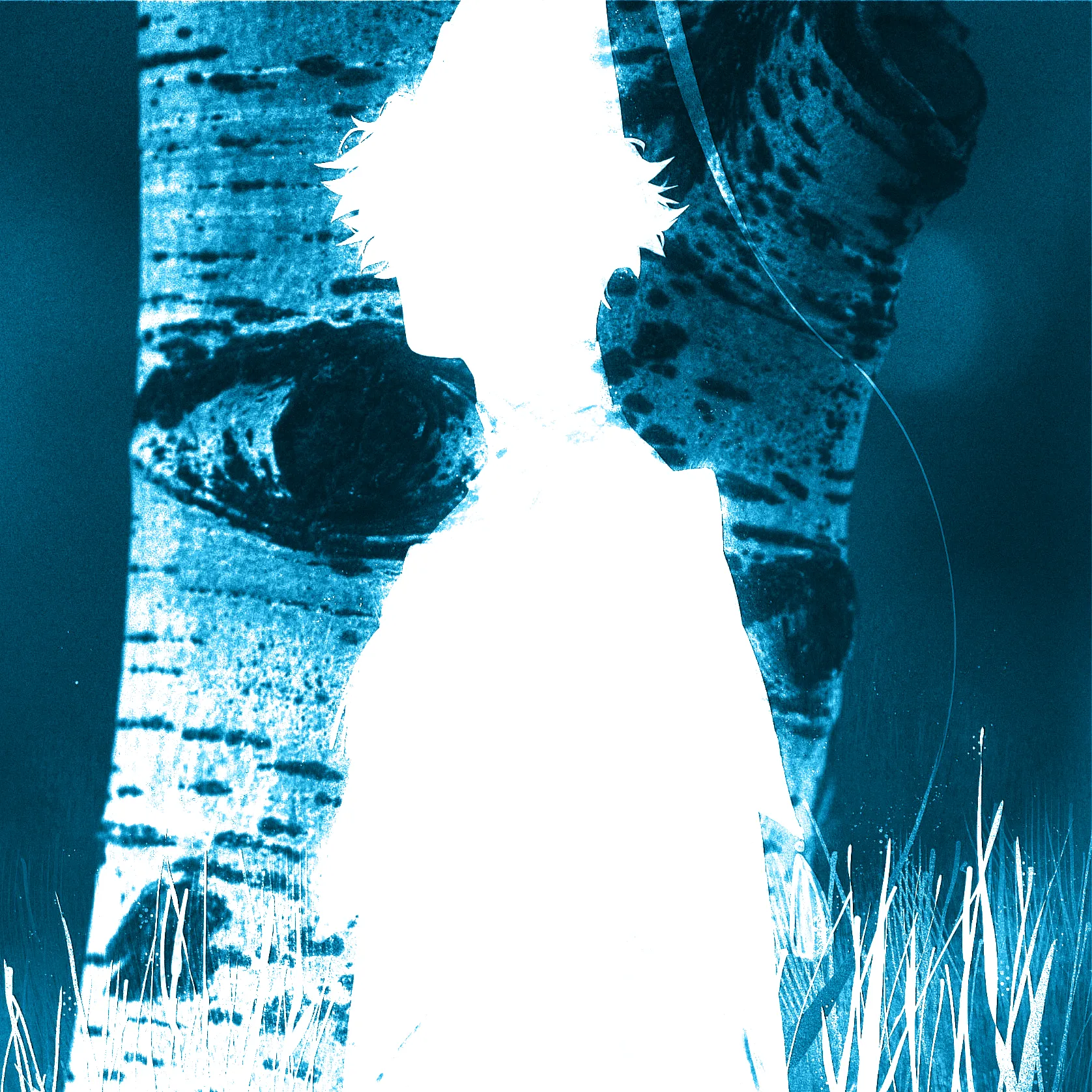 A white silhouette of a messy haired witch with a pointed hat standing in a field of tall grass, in front of a birch tree whose bark looks like it has a pair of eyes in the shapes of its markings.
